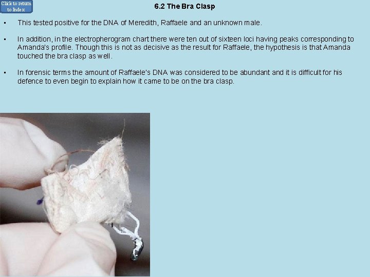 Click to return to Index • 6. 2 The Bra Clasp This tested positive