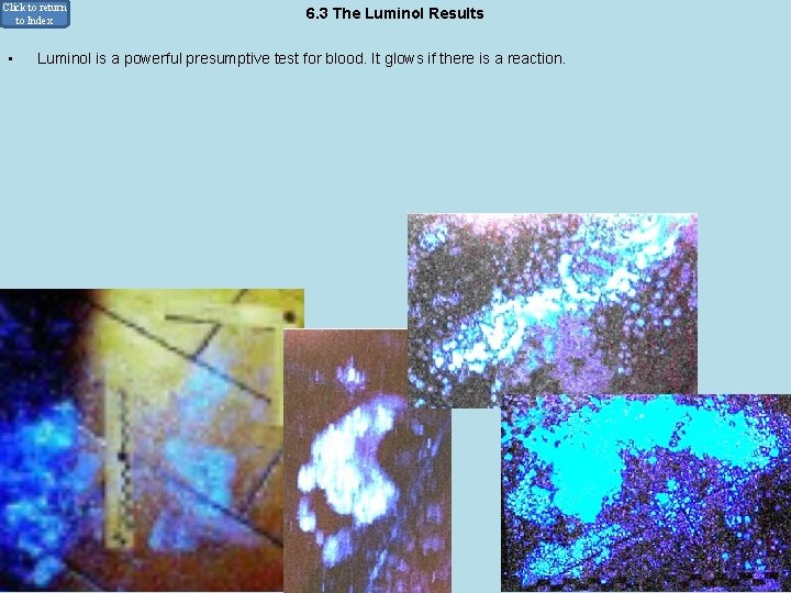 Click to return to Index • 6. 3 The Luminol Results Luminol is a