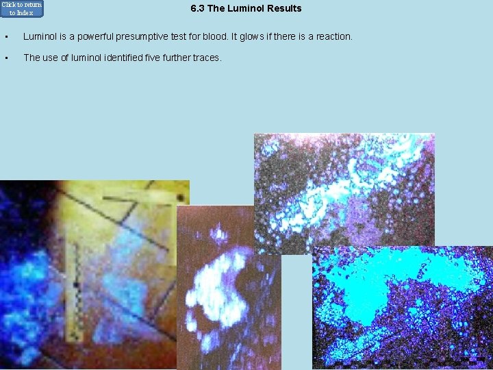 Click to return to Index • 6. 3 The Luminol Results Luminol is a