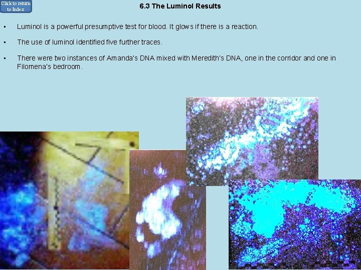 Click to return to Index • 6. 3 The Luminol Results Luminol is a