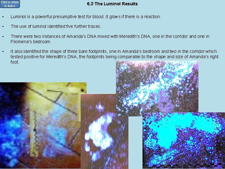 Click to return to Index • 6. 3 The Luminol Results Luminol is a