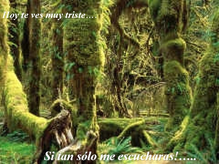 Hoy te ves muy triste…. Si tan sólo me escucharas!…. . Hoy te ves muy triste…. Si tan sólo me escucharas!…. .