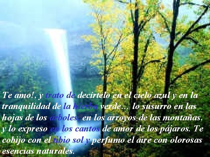 Te amo!, y trato de decírtelo en el cielo azul y en la tranquilidad Te amo!, y trato de decírtelo en el cielo azul y en la tranquilidad