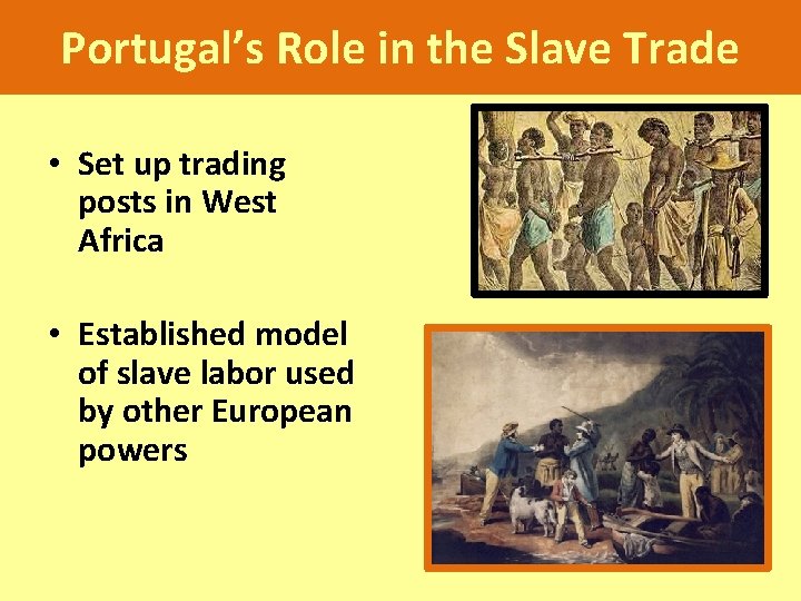 Portugal’s Role in the Slave Trade • Set up trading posts in West Africa