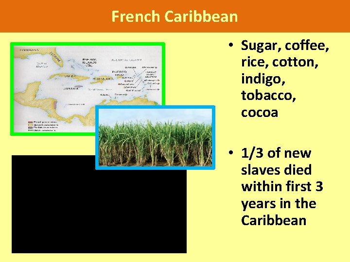 French Caribbean • Sugar, coffee, rice, cotton, indigo, tobacco, cocoa • 1/3 of new