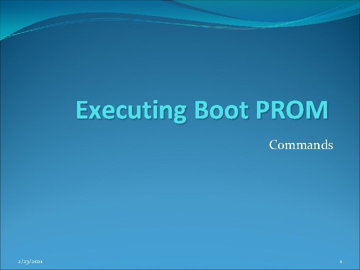 Executing Boot PROM Commands 2/23/2021 1 