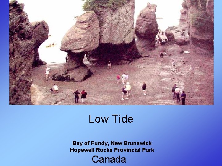 Low Tide Bay of Fundy, New Brunswick Hopewell Rocks Provincial Park Canada 