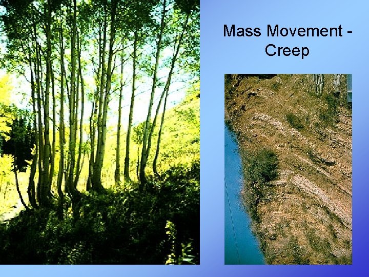 Mass Movement - Creep 