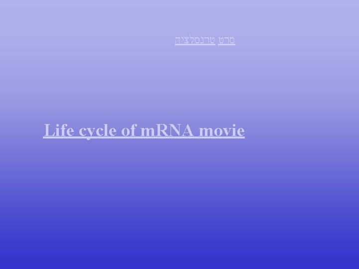 סרט טרנסלציה Life cycle of m. RNA movie סרט טרנסלציה Life cycle of m. RNA movie