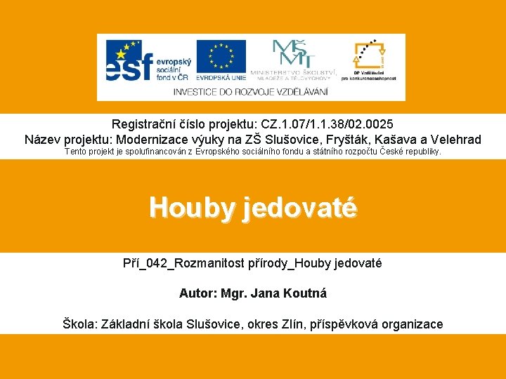 Registrační číslo projektu: CZ. 1. 07/1. 1. 38/02. 0025 Název projektu: Modernizace výuky na