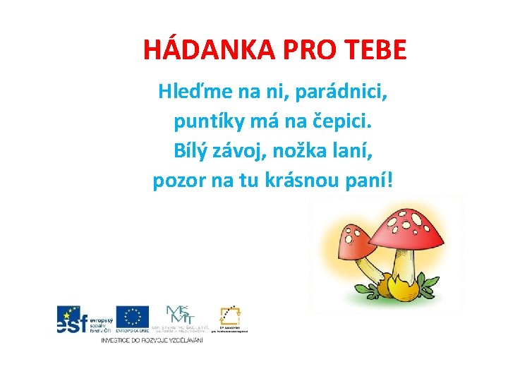 HÁDANKA PRO TEBE Hleďme na ni, parádnici, puntíky má na čepici. Bílý závoj, nožka