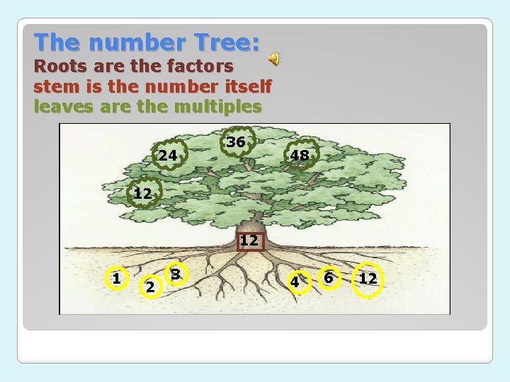 The number Tree: Roots are the factors stem is the number itself leaves are