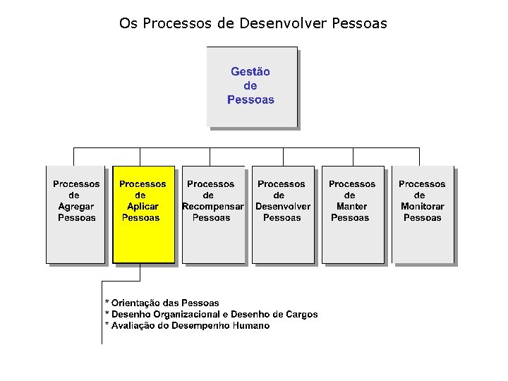 Os Processos de Desenvolver Pessoas 