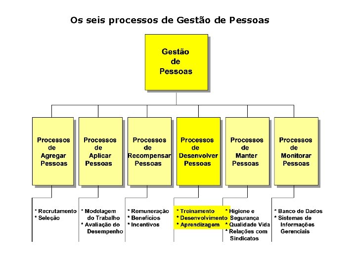 Os seis processos de Gestão de Pessoas 