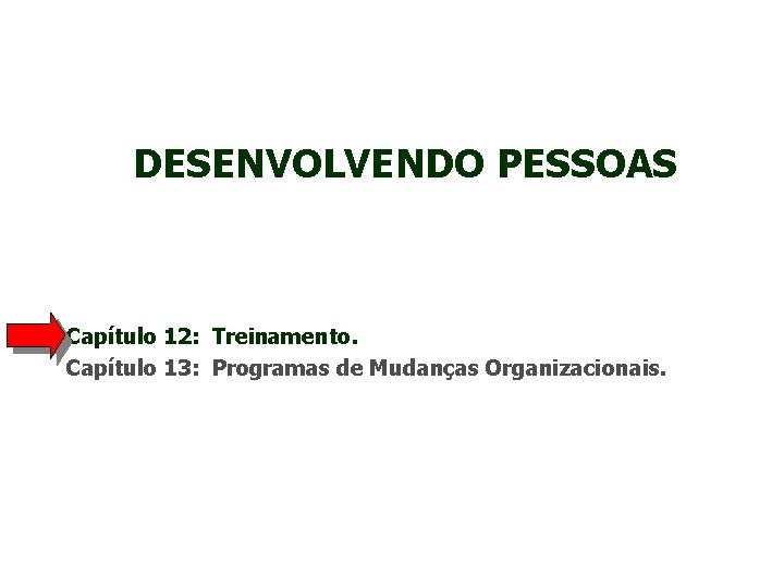 DESENVOLVENDO PESSOAS Capítulo 12: Treinamento. Capítulo 13: Programas de Mudanças Organizacionais. 