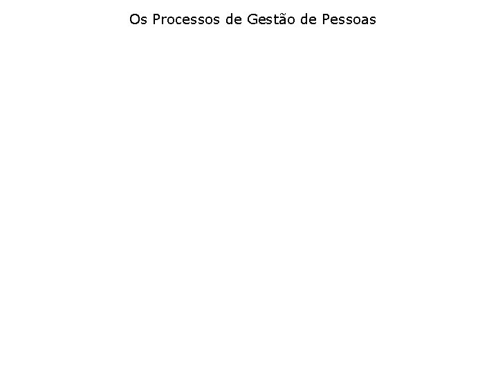 Os Processos de Gestão de Pessoas 