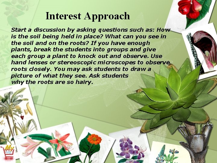 Interest Approach Start a discussion by asking questions such as: How is the soil