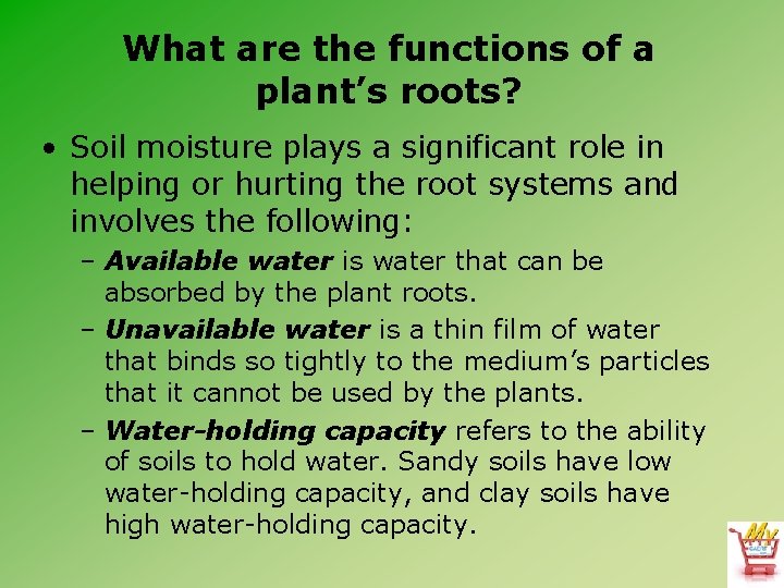 What are the functions of a plant’s roots? • Soil moisture plays a significant