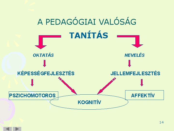 A PEDAGÓGIAI VALÓSÁG TANÍTÁS OKTATÁS NEVELÉS KÉPESSÉGFEJLESZTÉS JELLEMFEJLESZTÉS PSZICHOMOTOROS AFFEKTÍV KOGNITÍV 14 