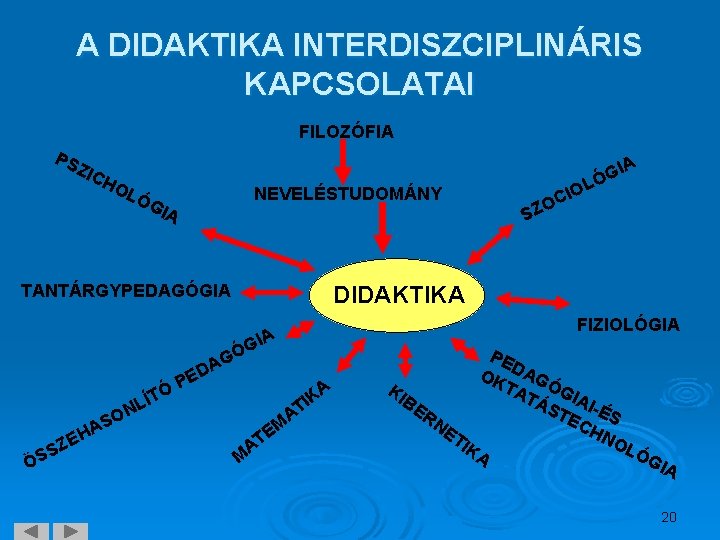 A DIDAKTIKA INTERDISZCIPLINÁRIS KAPCSOLATAI FILOZÓFIA PS ZIC HO IA LÓ NEVELÉSTUDOMÁNY GIA TANTÁRGYPEDAGÓGIA FIZIOLÓGIA