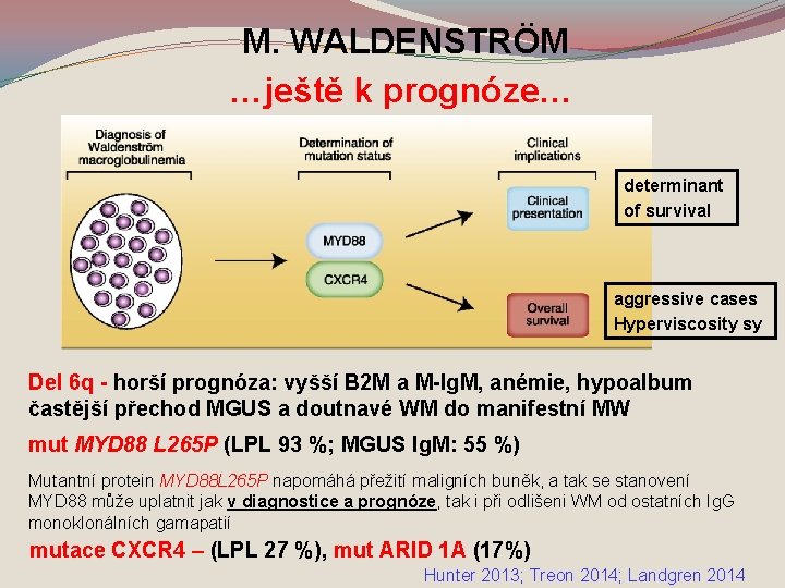 M. WALDENSTRÖM …ještě k prognóze… determinant of survival aggressive cases Hyperviscosity sy Del 6