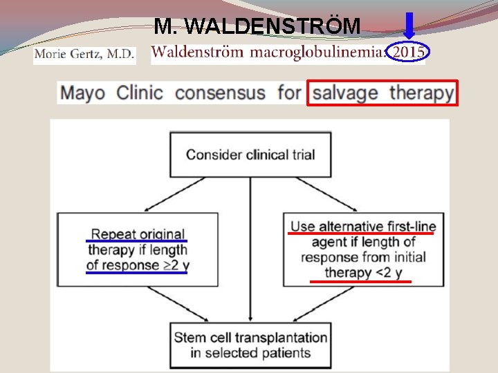 M. WALDENSTRÖM 