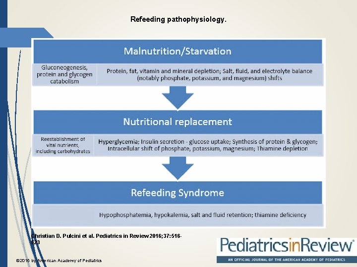 Refeeding pathophysiology. Christian D. Pulcini et al. Pediatrics in Review 2016; 37: 516523 ©