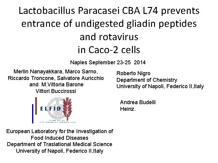 Lactobacillus Paracasei CBA L 74 prevents entrance of undigested gliadin peptides and rotavirus in