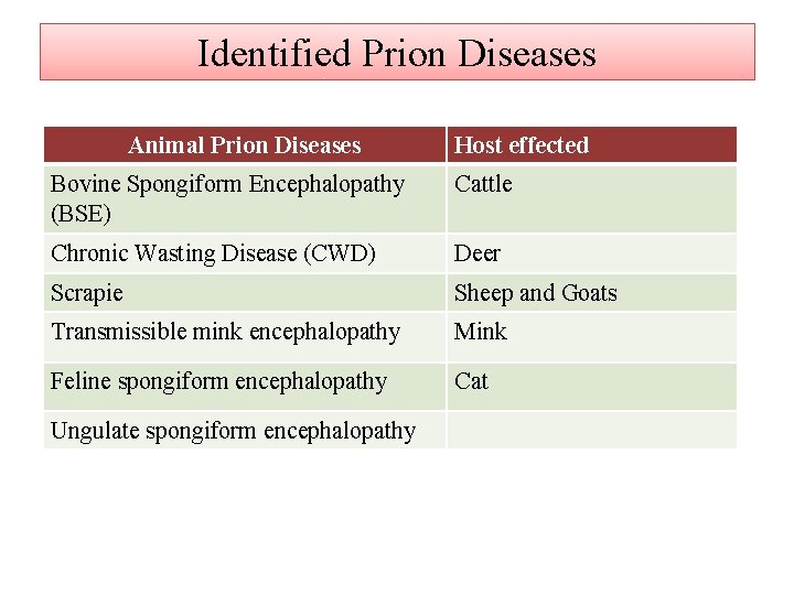 Identified Prion Diseases Animal Prion Diseases Host effected Bovine Spongiform Encephalopathy (BSE) Cattle Chronic