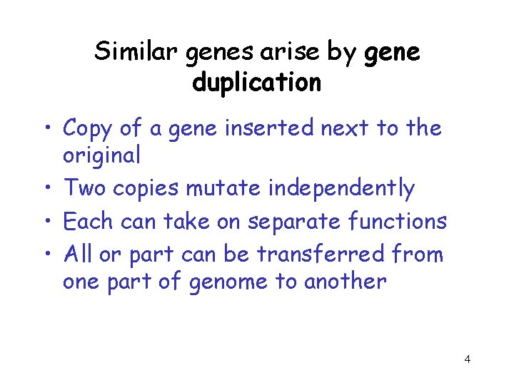 Similar genes arise by gene duplication • Copy of a gene inserted next to