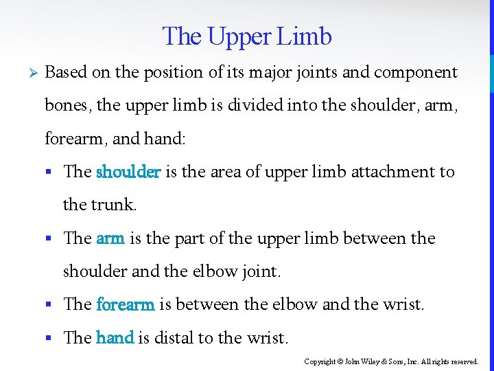 The Upper Limb Ø Based on the position of its major joints and component