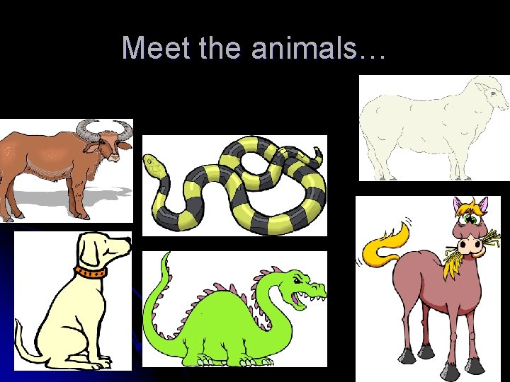 Meet the animals… 