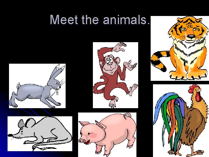 Meet the animals… 