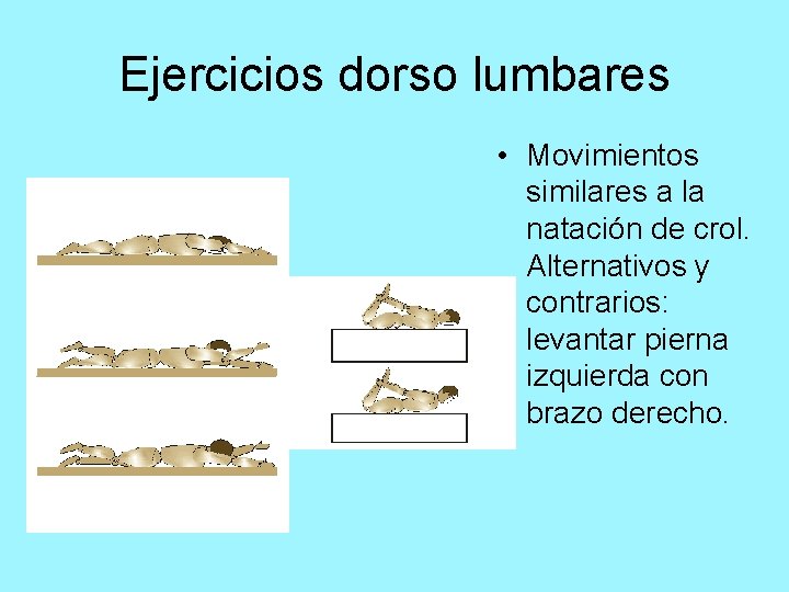 Ejercicios dorso lumbares • Movimientos similares a la natación de crol. Alternativos y contrarios: