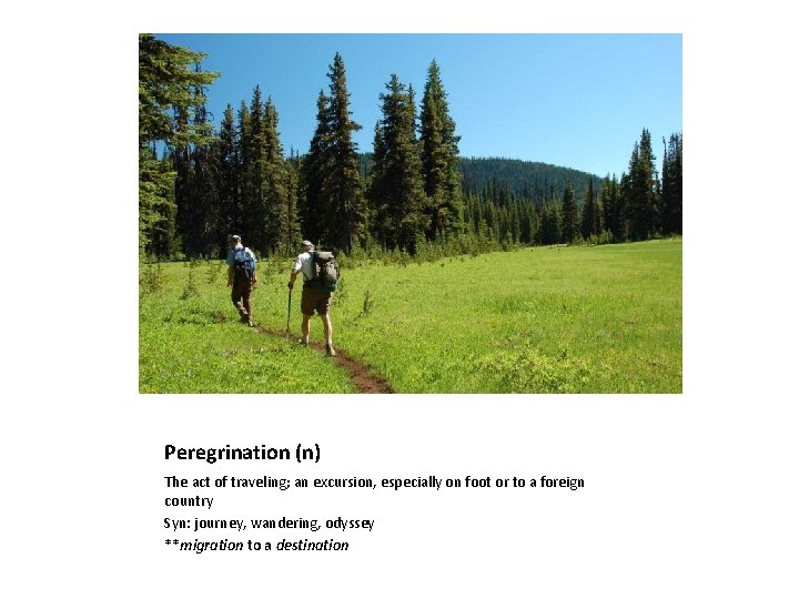 Peregrination (n) The act of traveling; an excursion, especially on foot or to a