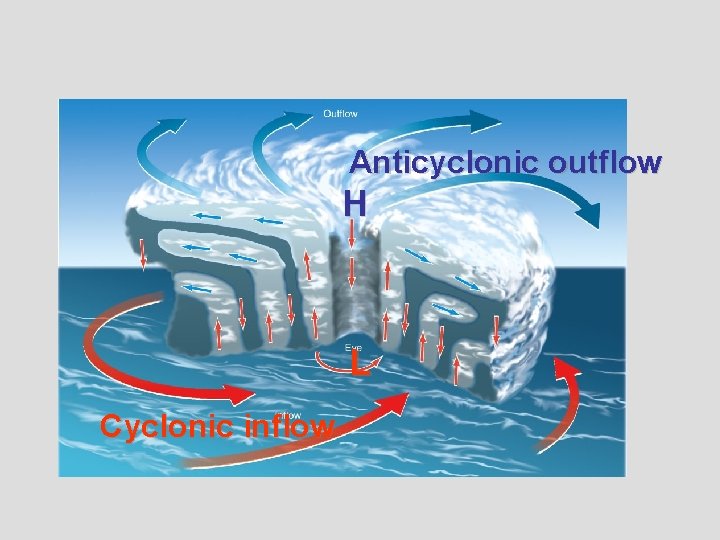 Anticyclonic outflow H L Cyclonic inflow 