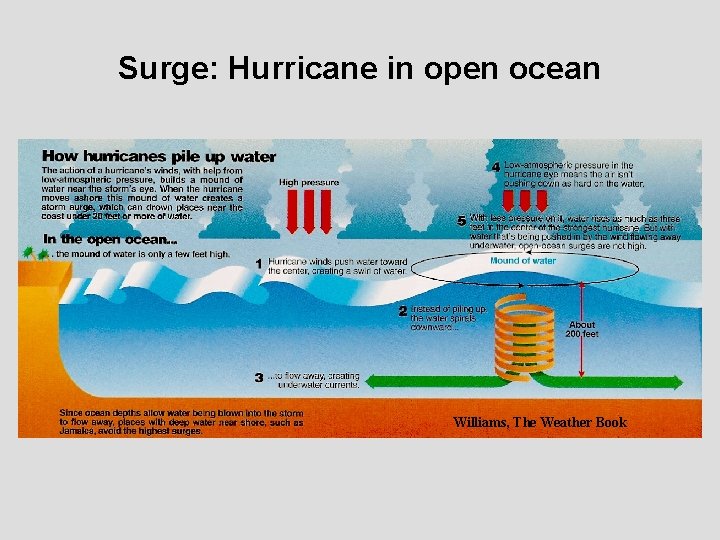 Surge: Hurricane in open ocean Williams, The Weather Book 