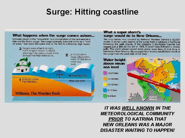 Surge: Hitting coastline Williams, The Weather Book IT WAS WELL KNOWN IN THE METEOROLOGICAL