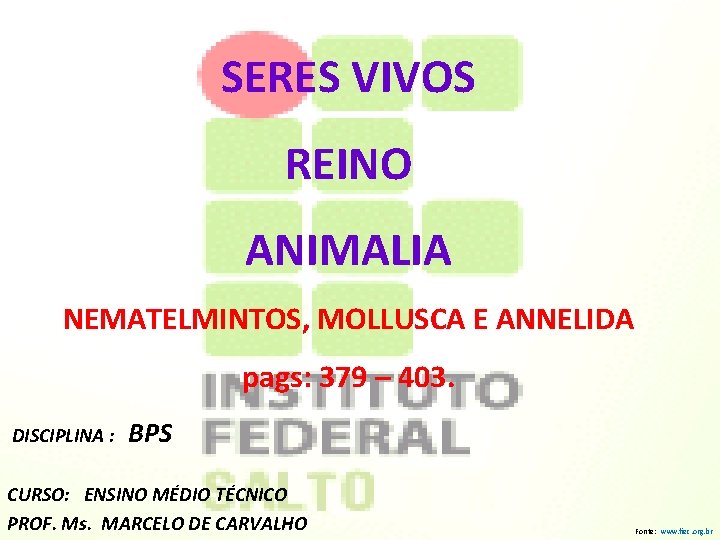 SERES VIVOS REINO ANIMALIA NEMATELMINTOS, MOLLUSCA E ANNELIDA pags: 379 – 403. DISCIPLINA :