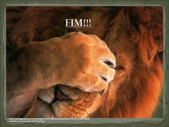 FIM!!! http: //2. bp. blogspot. com/_xmu. Tb 7 lmh 0 Q/TI 14 GUr. Bb.