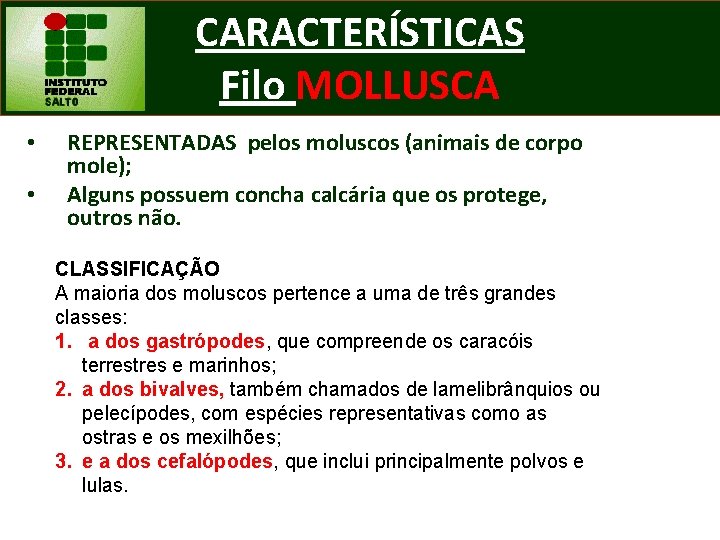 CARACTERÍSTICAS Filo MOLLUSCA • • REPRESENTADAS pelos moluscos (animais de corpo mole); Alguns possuem