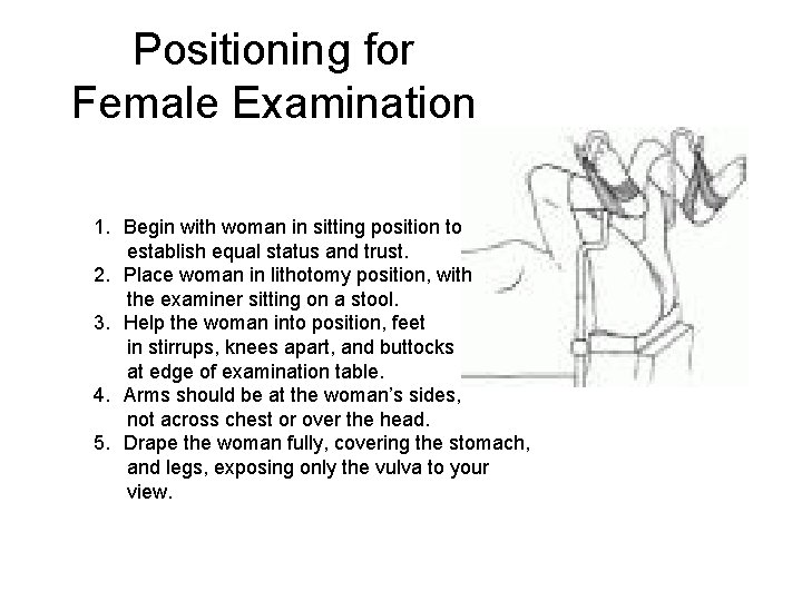 Positioning for Female Examination 1. Begin with woman in sitting position to establish equal