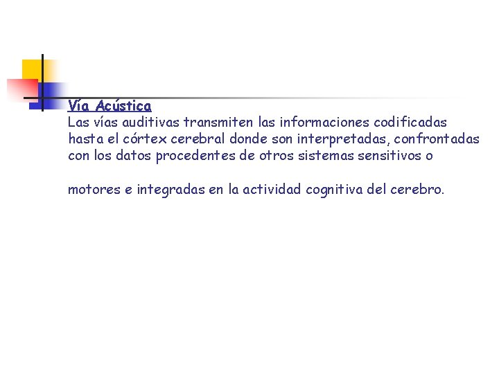 Vía Acústica Las vías auditivas transmiten las informaciones codificadas hasta el córtex cerebral donde Vía Acústica Las vías auditivas transmiten las informaciones codificadas hasta el córtex cerebral donde