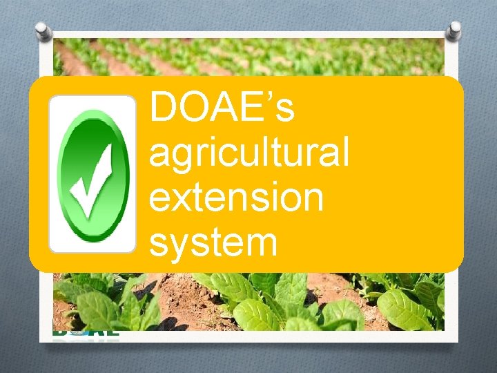 DOAE’s agricultural extension system 