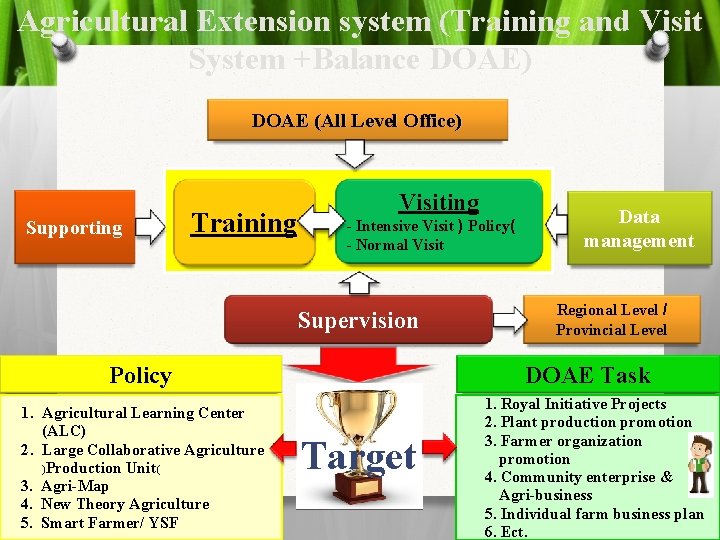 Agricultural Extension system (Training and Visit System +Balance DOAE) DOAE (All Level Office) Supporting