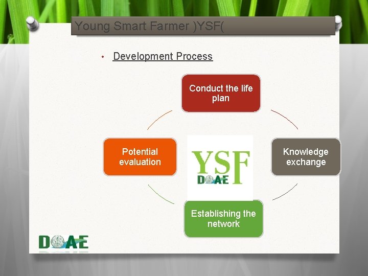 Young Smart Farmer )YSF( • Development Process Conduct the life plan Knowledge exchange Potential