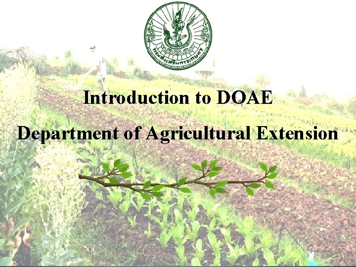 Introduction to DOAE Department of Agricultural Extension 