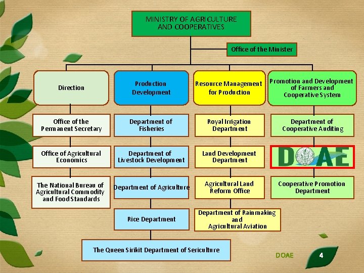 MINISTRY OF AGRICULTURE AND COOPERATIVES Office of the Minister Direction Production Development Resource Management