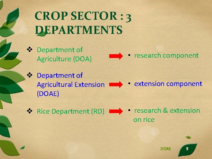 CROP SECTOR : 3 DEPARTMENTS v Department of Agriculture (DOA) • research component v