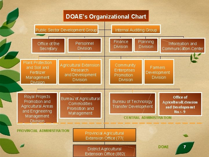 DOAE’s Organizational Chart Public Sector Development Group Personnel Division Office of the Secretary Plant